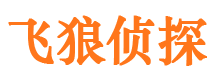 东平市侦探公司